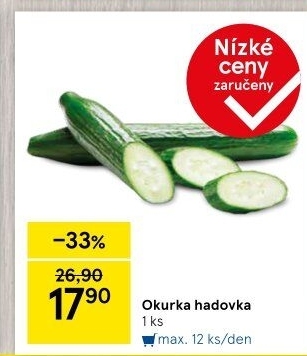 Okurka salátová - hadovka