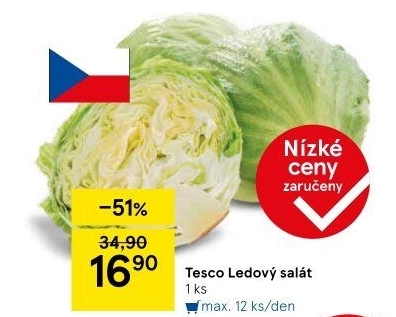 Salát ledový Tesco