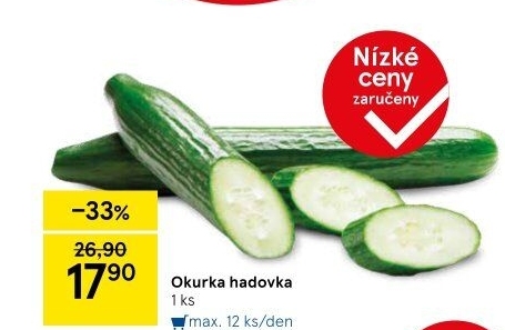 Okurka salátová - hadovka