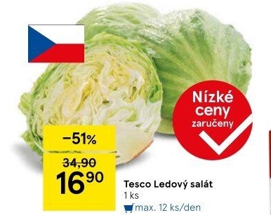 Salát ledový Tesco
