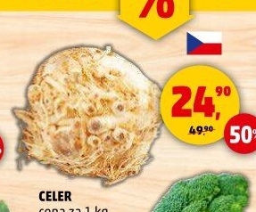 Celer bulva