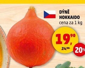 Dýně Hokkaidó