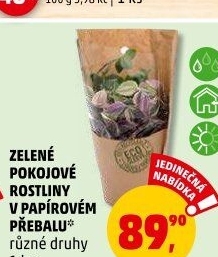 Mix zelených rostlin