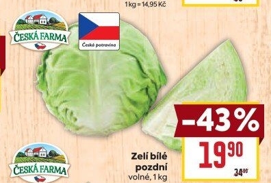 Zelí hlávkové bílé