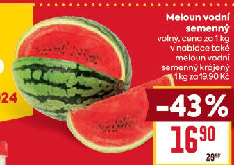 Meloun vodní