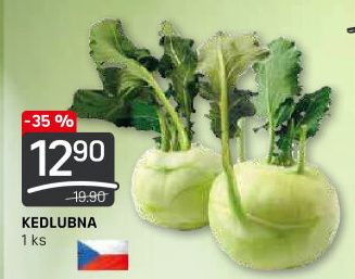 Kedlubna bílá