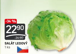 Salát ledový