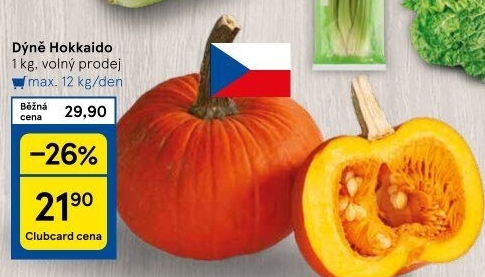 Dýně Hokkaidó