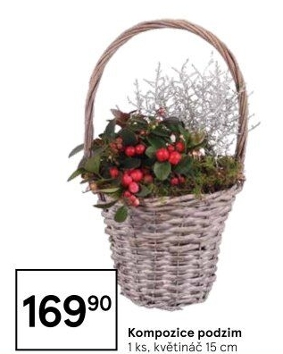 Květinové aranžmá