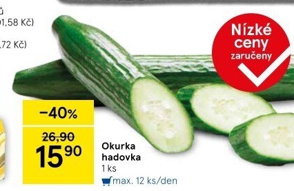Okurka salátová - hadovka