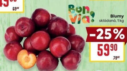 Blumy Billa Bonvia