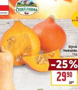 Dýně Hokkaidó Česká farma