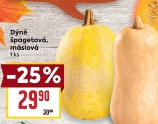 Dýně špagetová