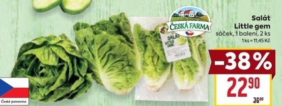 Salát little gem Česká farma