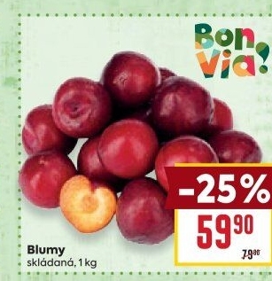Blumy Billa Bonvia