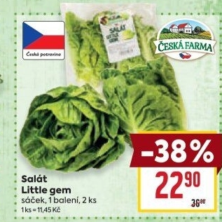 Salát little gem Česká farma