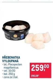 Hřebenatka MSC