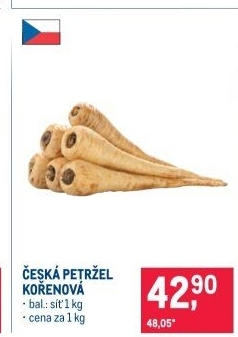 Petržel