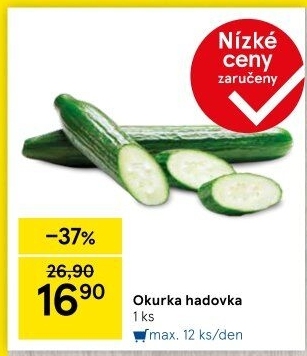 Okurka salátová - hadovka