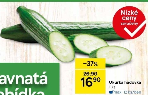 Okurka salátová - hadovka