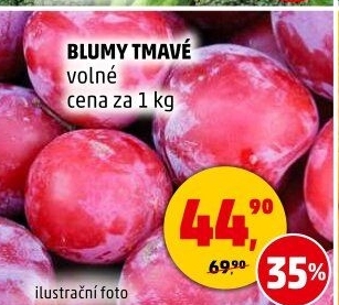 Blumy tmavé