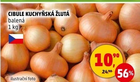 Cibule kuchyňská žlutá