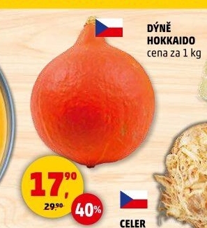 Dýně Hokkaidó