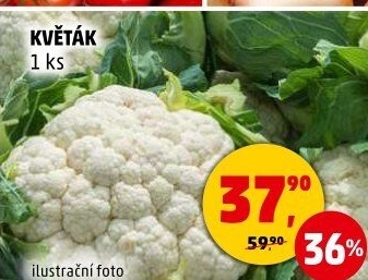 Květák