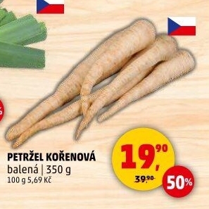 Petržel