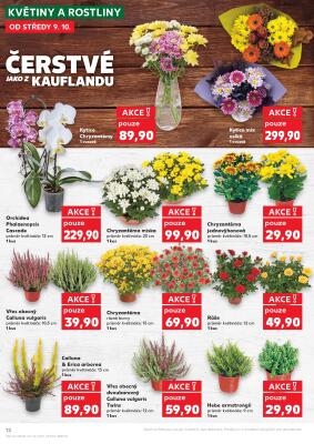 akční leták Kaufland 9.10.2024-15.10.2024