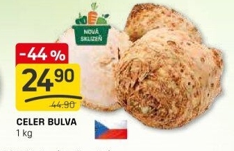 Celer bulva