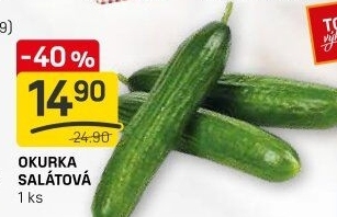 Okurka salátová - hadovka