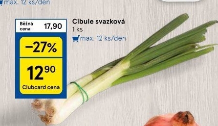 Jarní cibule svazek