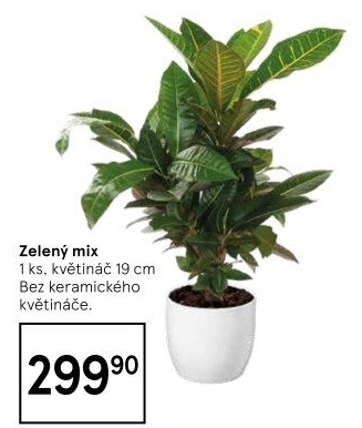 Mix zelených rostlin