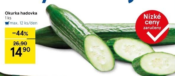 Okurka salátová - hadovka