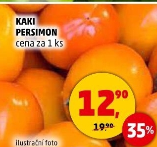 Kaki