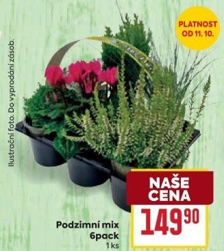 Mix rostlin