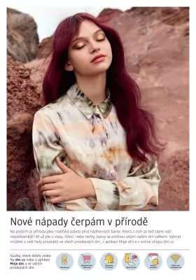 akční leták dm drogerie 10.10.2024-6.11.2024