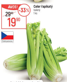Celer řapíkatý