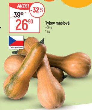 Dýně máslová