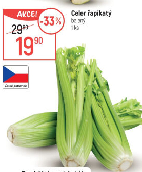 Celer řapíkatý