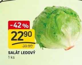 Salát ledový
