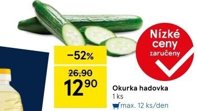 Okurka salátová - hadovka