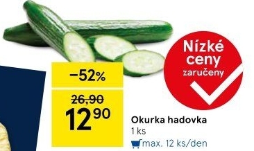 Okurka salátová - hadovka
