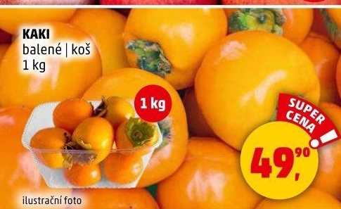 Kaki