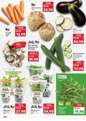 akční leták Kaufland 23.10.2024-29.10.2024