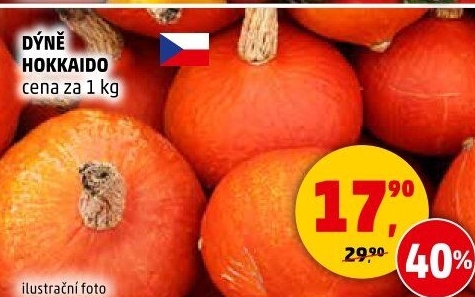 Dýně Hokkaidó