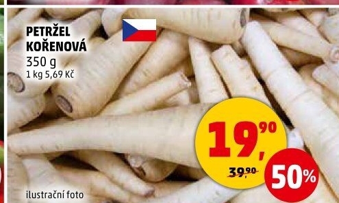 Petržel
