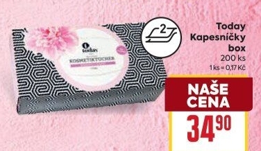 Papírové kapesníčky 2vrstvé Today - box