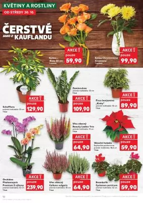 akční leták Kaufland 30.10.2024-5.11.2024